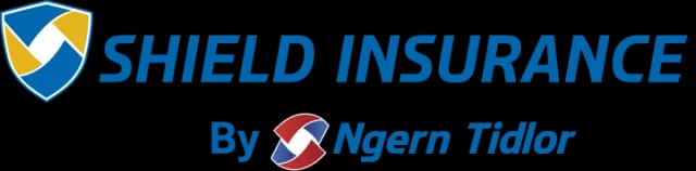 Insurance Logo