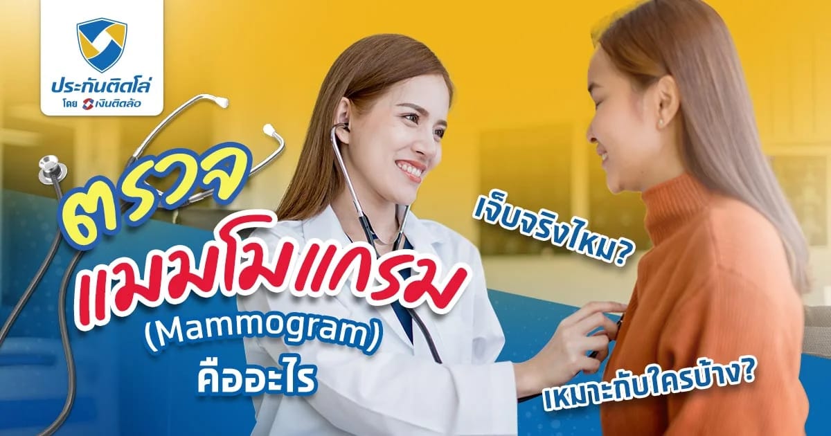 อัปเดตข้อมูลตรวจแมมโมแกรม (Mammogram) 2026 ครบจบในที่เดียว!