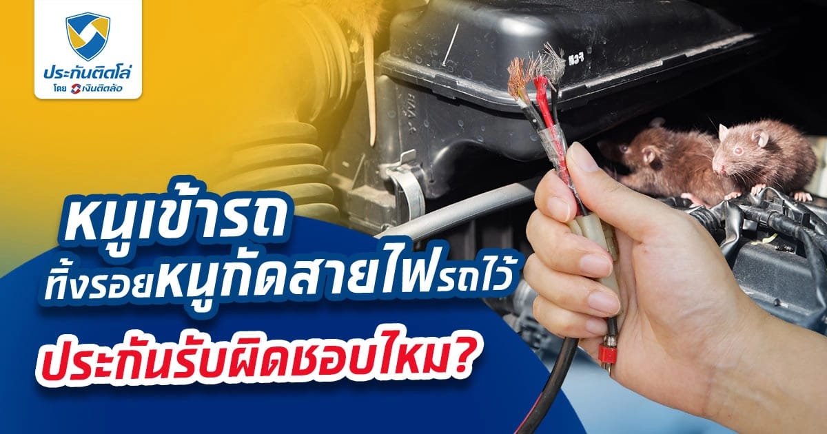 หนูเข้ารถ ทิ้งรอยหนูกัดสายไฟรถไว้ ประกันรับผิดชอบไหม?