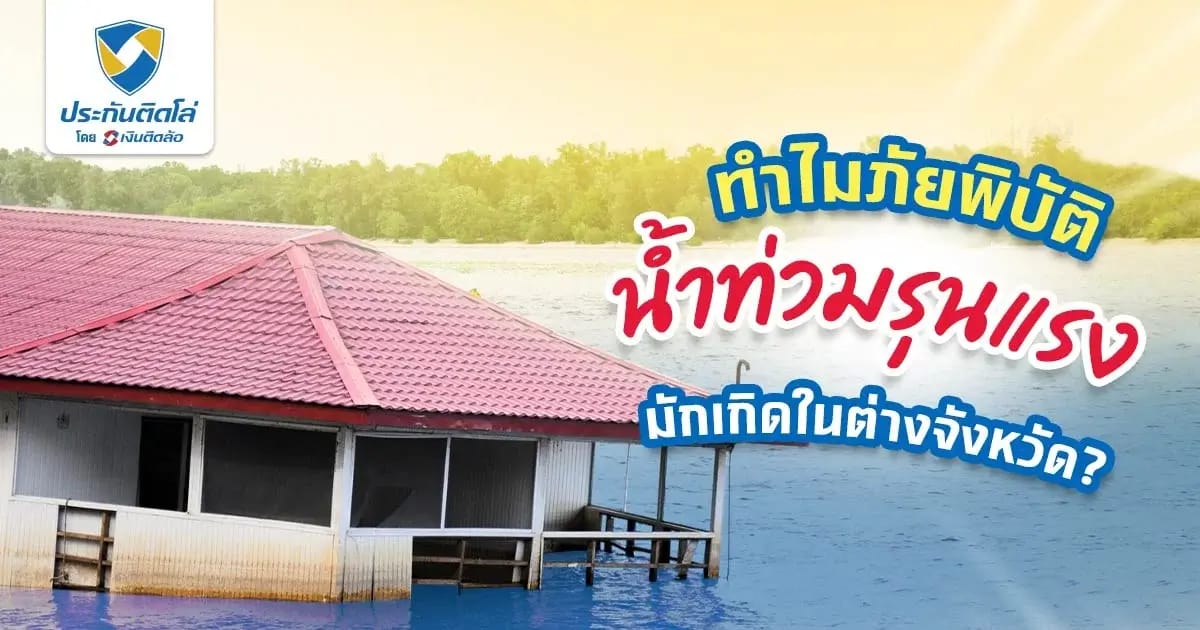 รู้จักอุทกภัย น้ำท่วมขั้นวิกฤติ ที่มักเกิดขึ้นในต่างจังหวัด