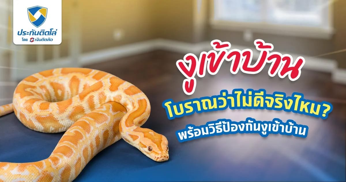 งูเข้าบ้าน โบราณว่าไม่ดีจริงไหม บอกวิธีป้องกันงูเข้าบ้าน