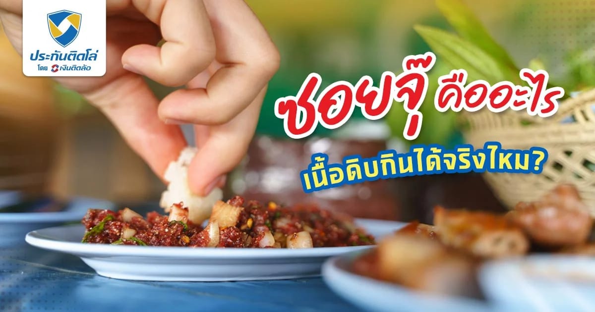 ซอยจุ๊คืออะไร เนื้อดิบกินได้จริงไหม มีอันตรายอะไรบ้าง