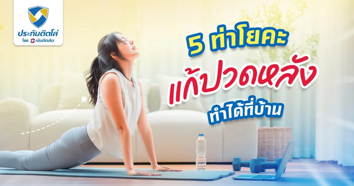 ท่าโยคะแก้ปวดหลัง รวมท่ายืดง่ายๆ ทำงานหนักแค่ไหนก็เอาอยู่
