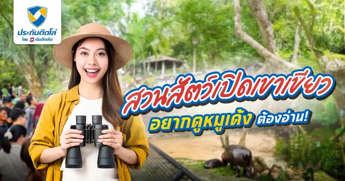 สวนสัตว์เปิดเขาเขียวเปิดกี่โมง ค่าตั๋วเท่าไหร่ อยากไปดูหมูเด้งต้องอ่าน