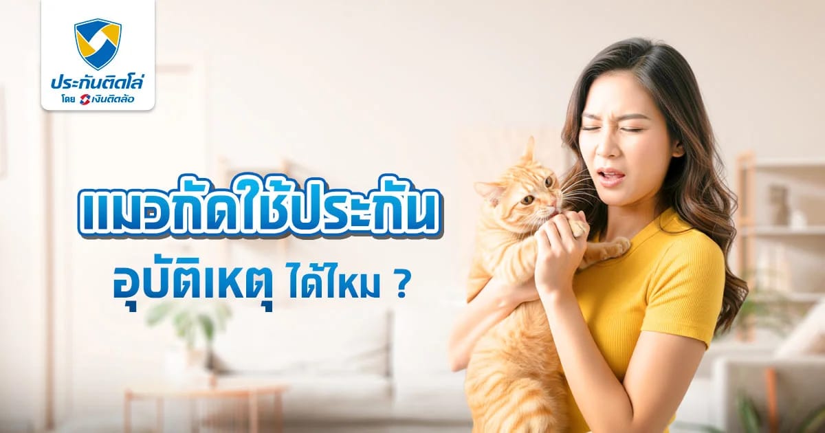 แมวกัดใช้ประกันอุบัติเหตุได้มั้ย ครอบคลุมค่าใช้จ่ายอะไรบ้าง
