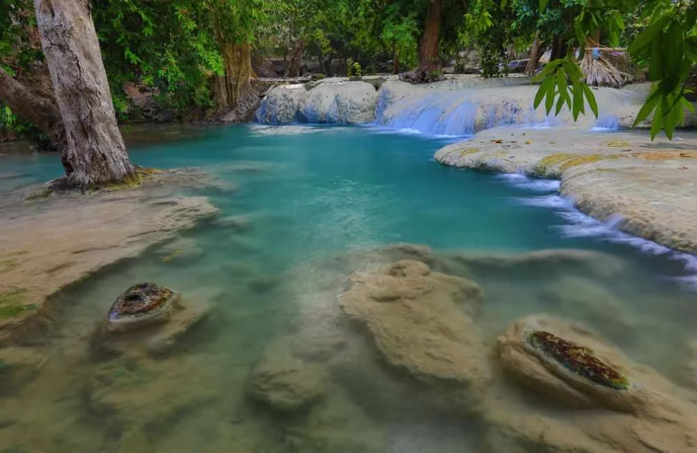 สวนรุกขชาติวังก้านเหลือง