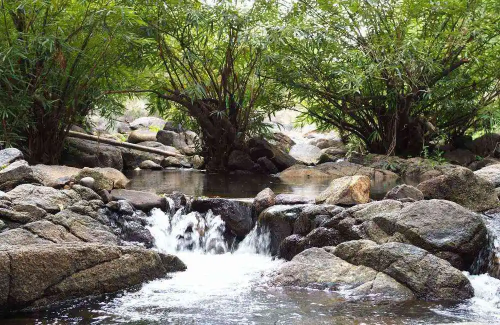 แก่งส้มแมว