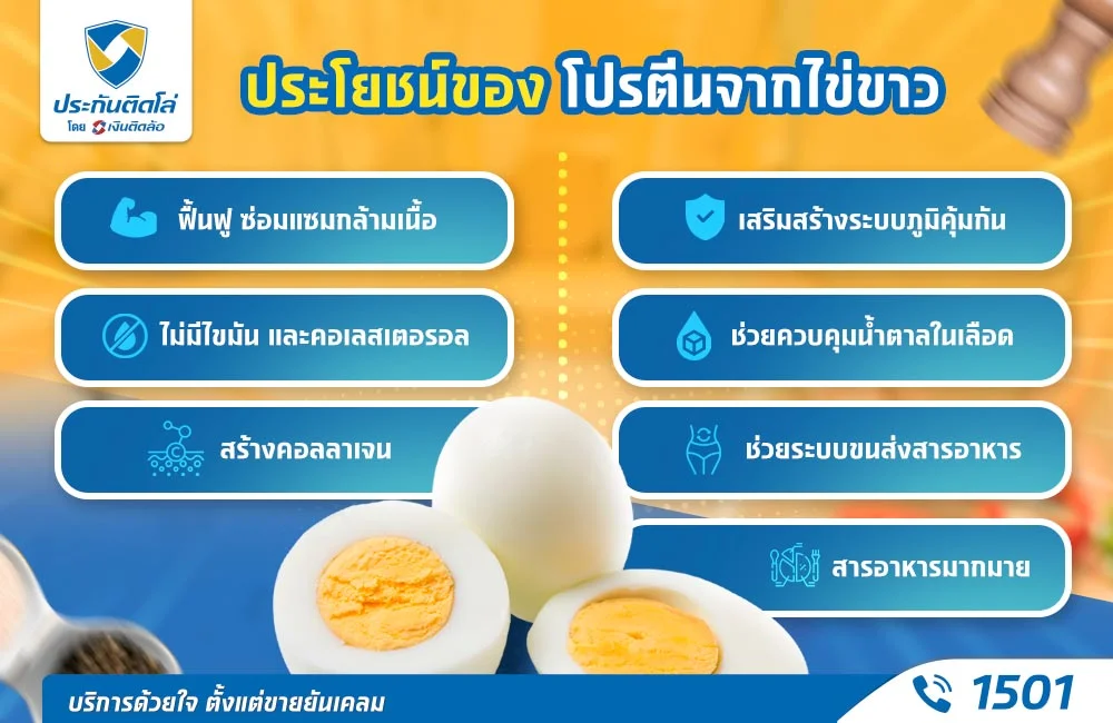 ประโยชน์ของโปรตีนจากไข่ขาว ประโยชน์ของโปรตีนจากไข่ขาว
