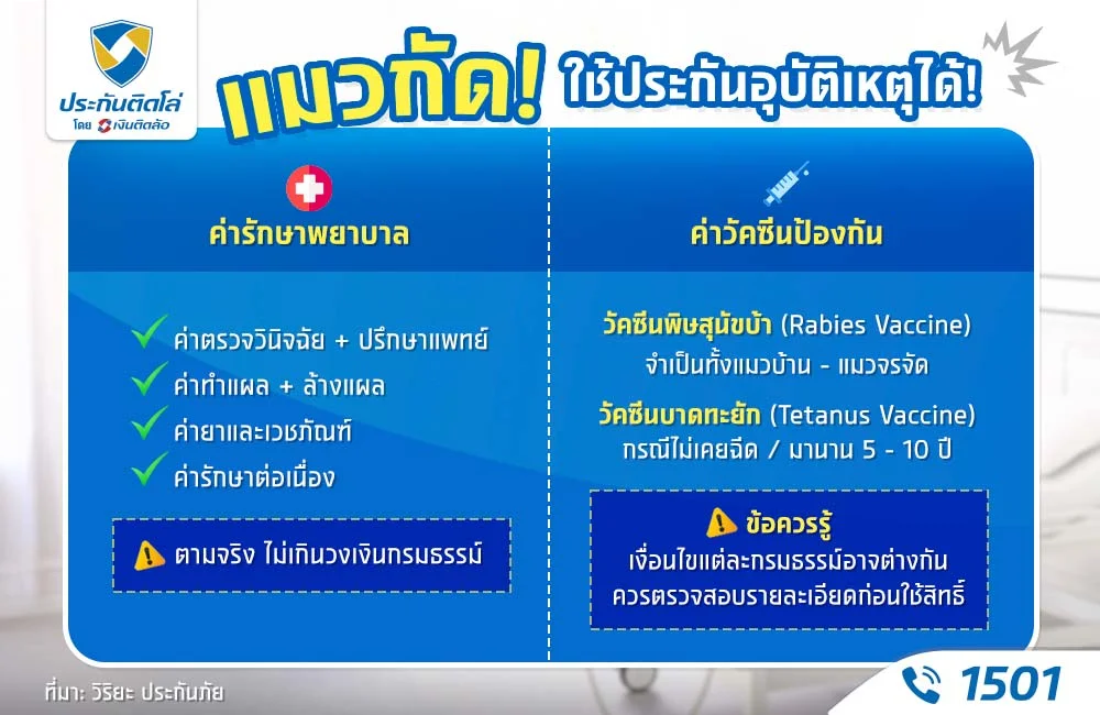 เคลมประกันแมวกัด