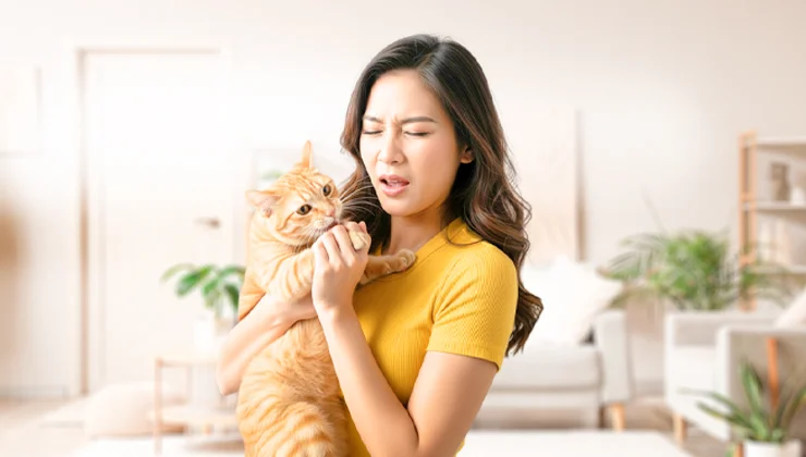 แมวกัดใช้ประกันอุบัติเหตุได้ไหม